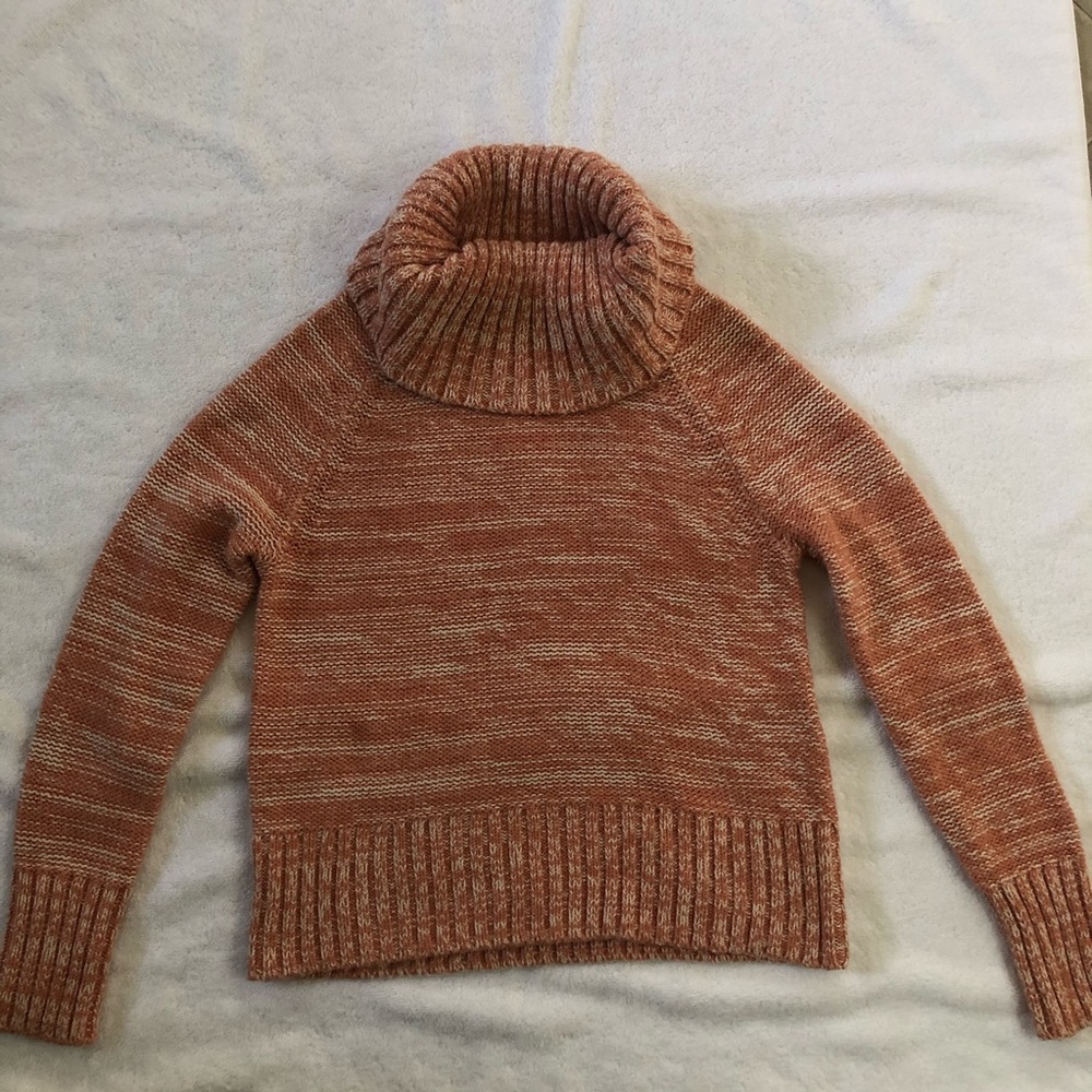 Banana Republic Hand-Knitted TurtleNeck